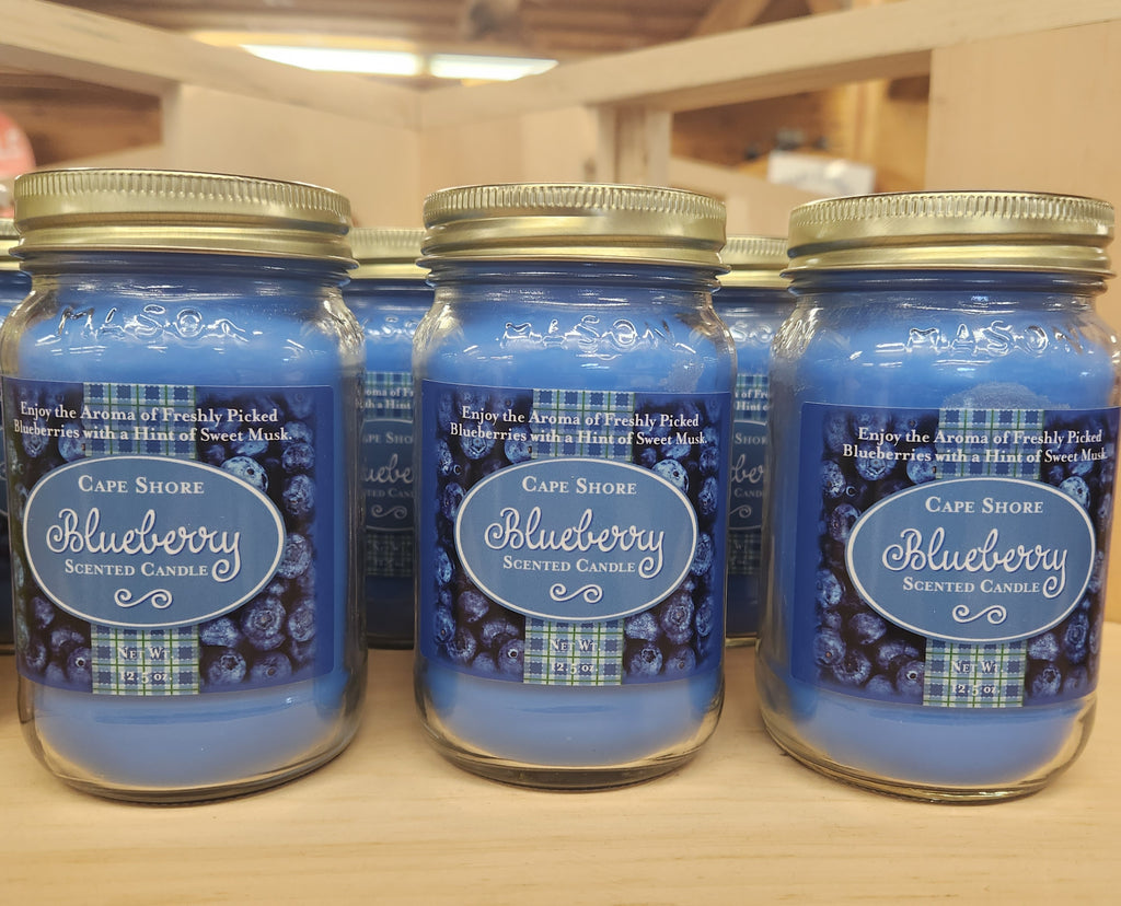 Blueberry Scented Candle